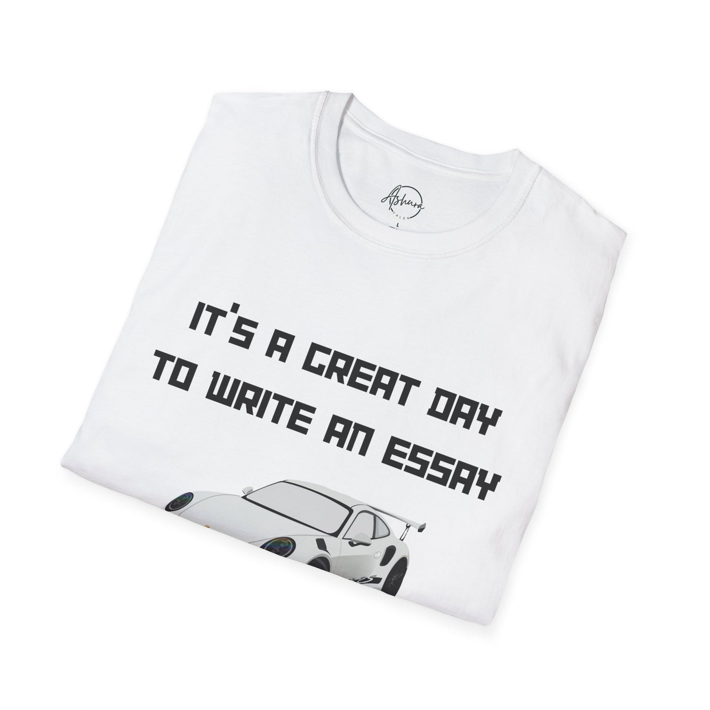 300 WORD ESSAY